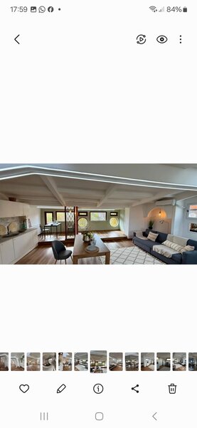 Baneasa, Iancu Nicolae, zoo