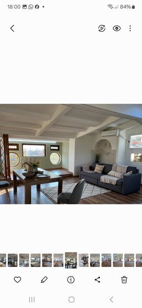 Baneasa, Iancu Nicolae, zoo