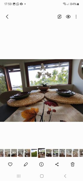 Baneasa, Iancu Nicolae, zoo