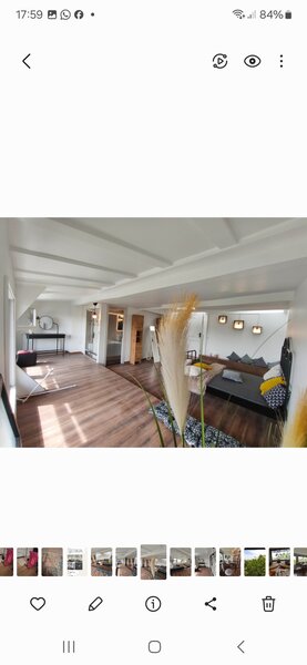 Baneasa, Iancu Nicolae, zoo